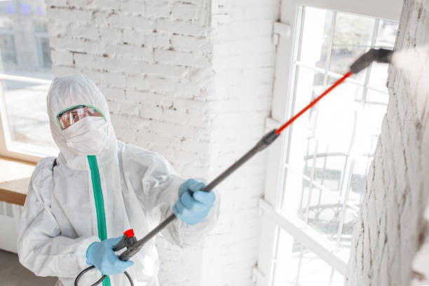Best Dehumidification Services  in Camn, DE