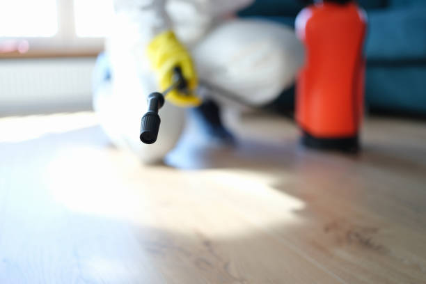 Best Industrial Mold Remediation  in Camn, DE